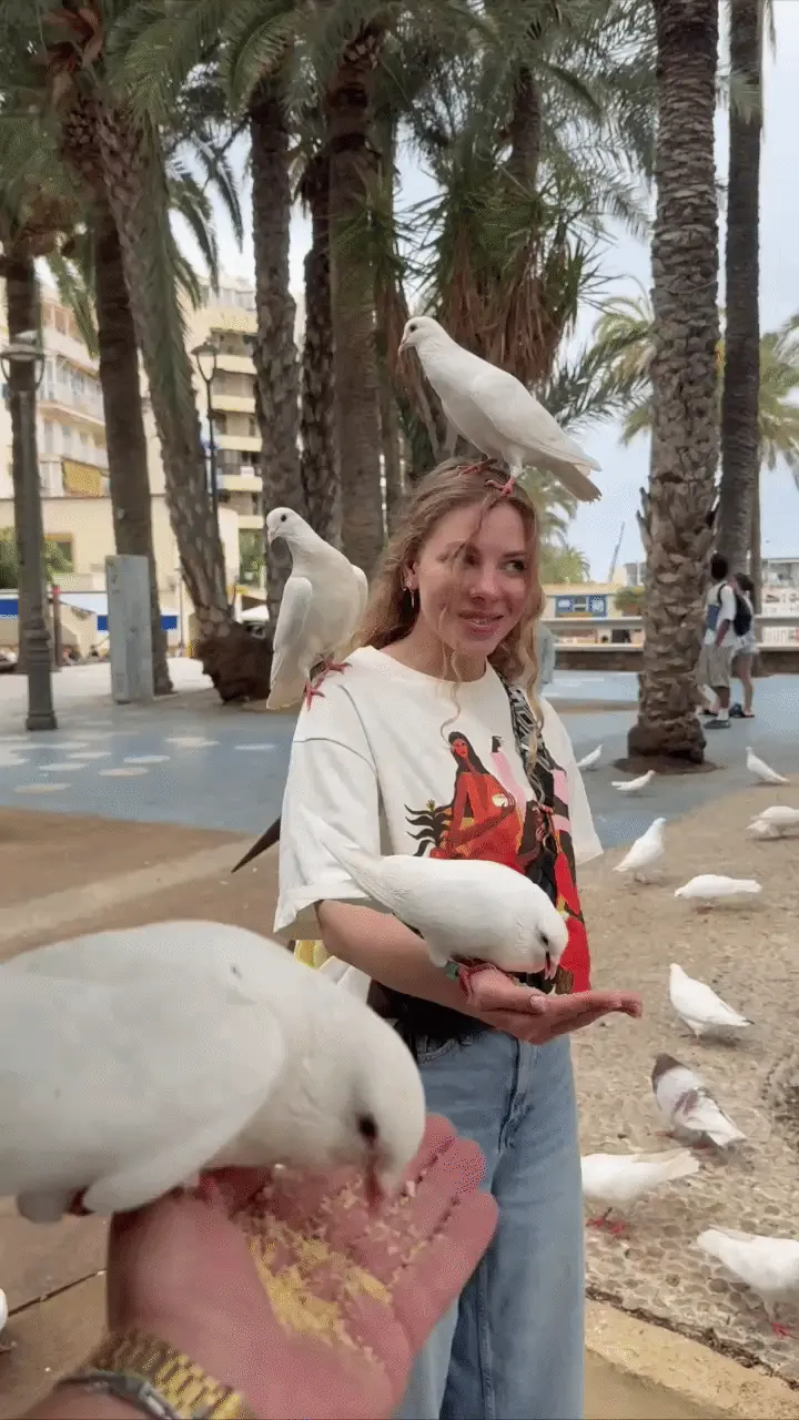 Victoria rose brides dating site